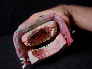 4x5 Camera attachment for "The French Kiss"; interior mouth