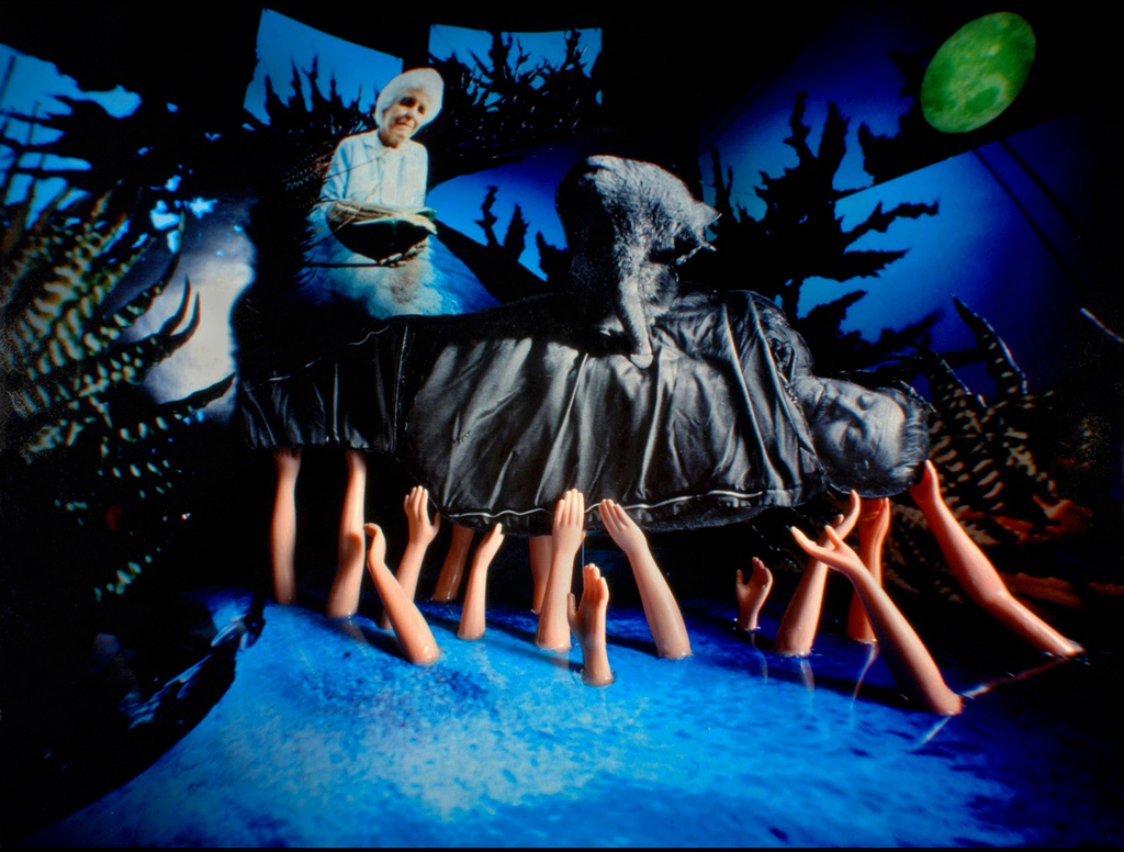 "Disarmed" 2008, Pinhole C-Print