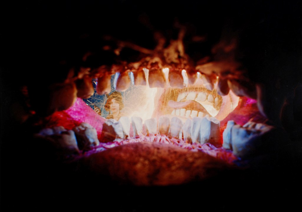 "The French Kiss C-Print 2006 Lou Krueger