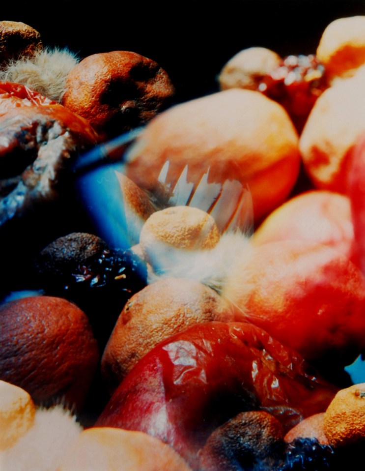 Christina Wight, image from five aperture lens board