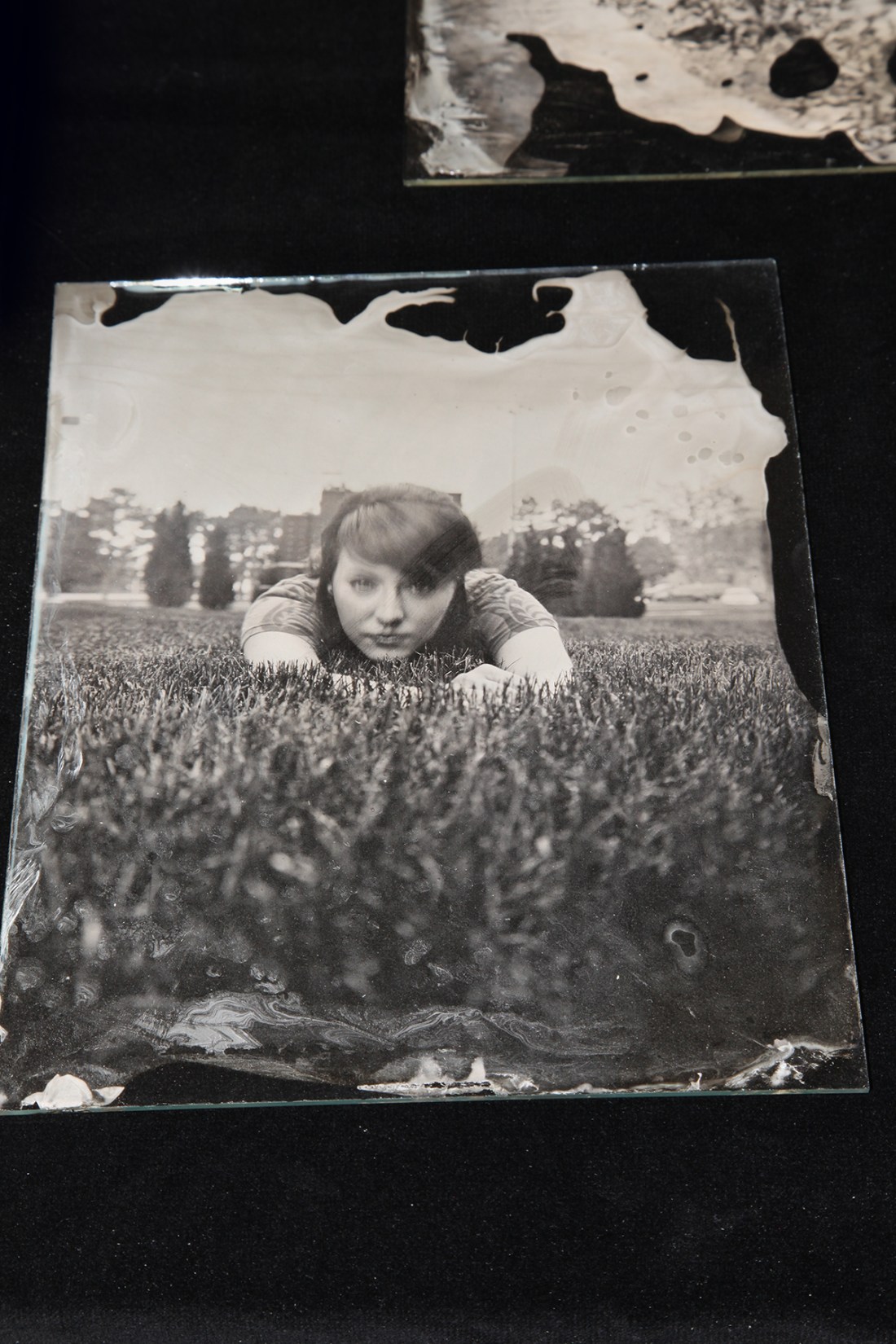 8x10 glass plate negative by Josh Torres
