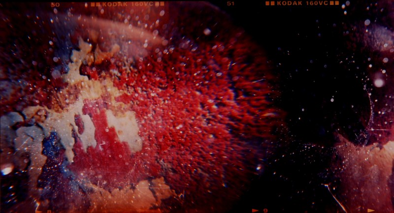 Laura Beth Konopinski