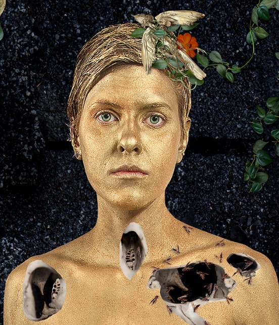 wordpress-of-birds-1