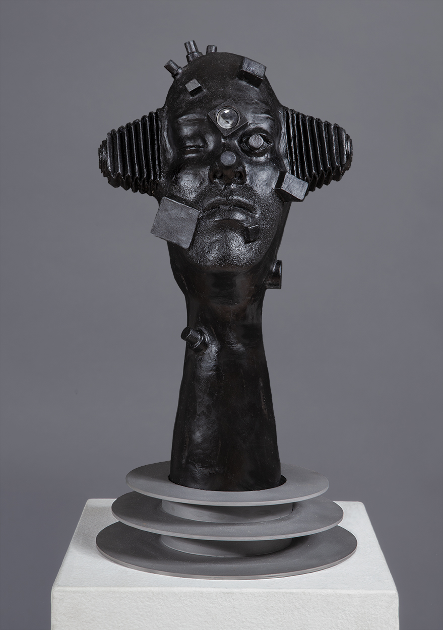 Camera Man WordPress 1.11.20